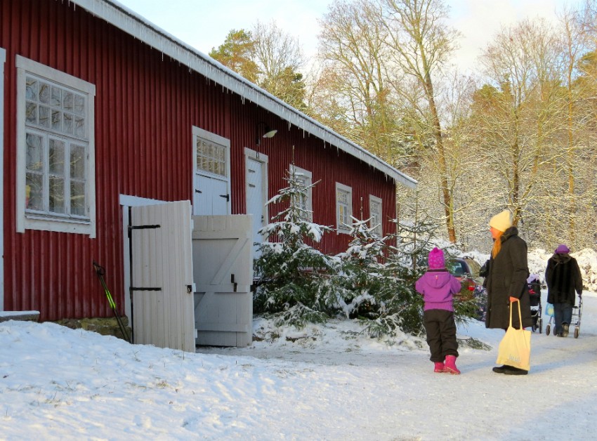 07 jouluilua-koristossa.jpg